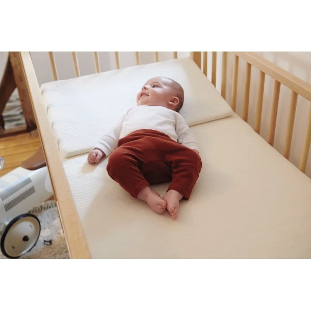Αντιπαλινδρόμηση Pillow Wedge 10° Organic 55x35cm Candide