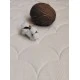 Органичен Матрак Коко Comfort+ За Легло 60X120См (11См Дебелина) Candide