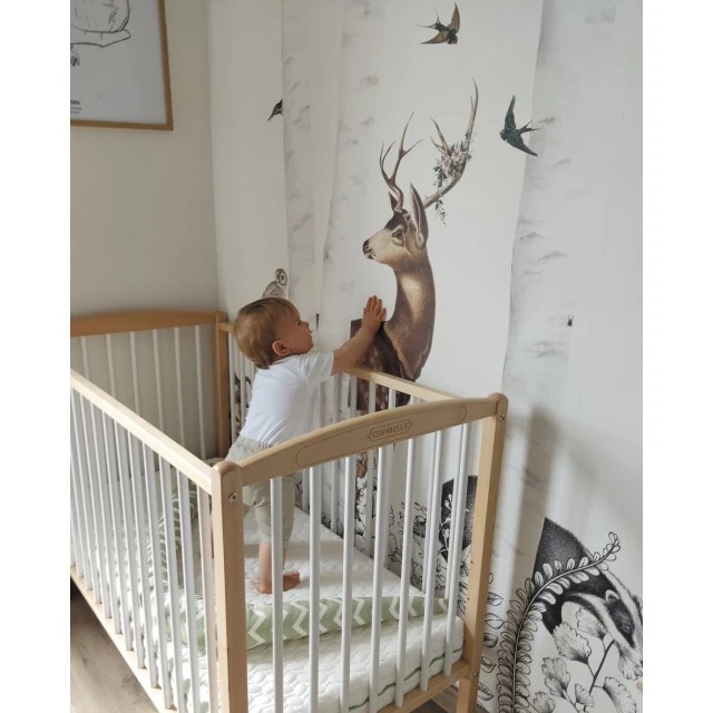 Στρώμα Evolutif Fresh 60X120Cm (12cm Πάχος) Candide