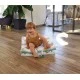Smart Mat 3 In 1 - Play Mat, Movable Mattress And Barbaron Indian Tineo
