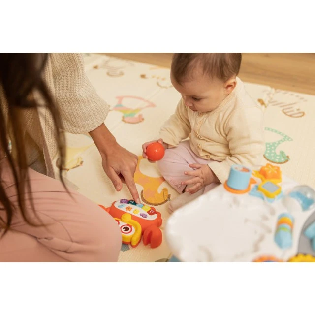 Πολυλειτουργικό χαλάκι για κατοικίδια Caretero Toyz