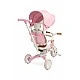 Τρίκυκλο και τροχός ζυγοστάθμισης 2 σε 1 Faro Pink Caretero Toyz