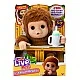 Little Live Pets Interactive Baby Monkey Mango