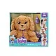 IMC Interactive Baby Dog Baby Paws Labradoodle