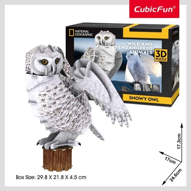 CubicFun Παζλ 3D National Geographic Πολική κουκουβάγια 62 τεμ.