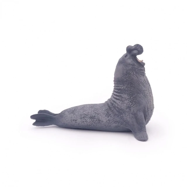 Συλλεκτική και Παίξτε Φιγούρα - Elephant Seal