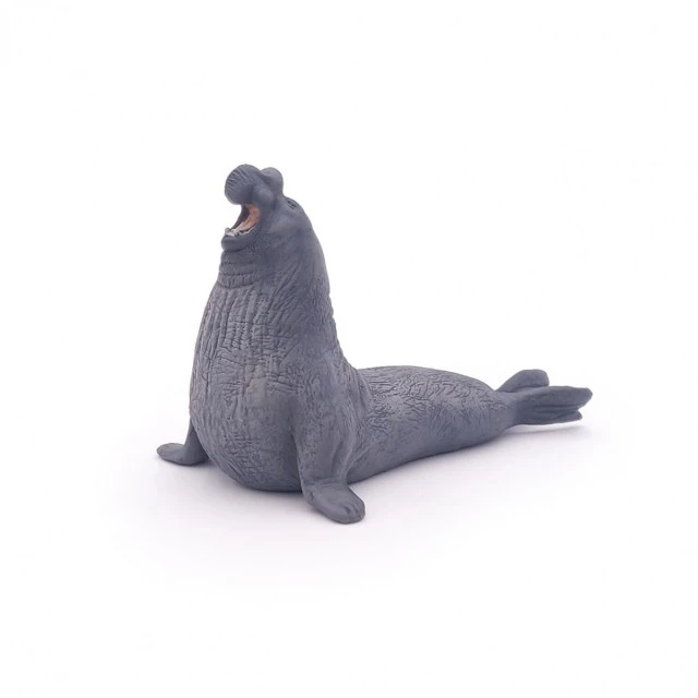 Συλλεκτική και Παίξτε Φιγούρα - Elephant Seal