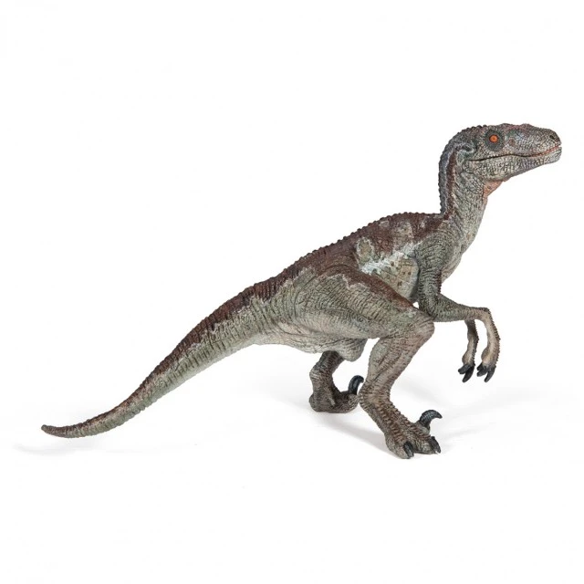 Δεινόσαυρος Velociraptor