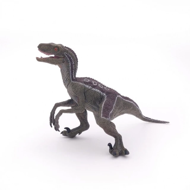 Δεινόσαυρος Velociraptor