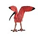Κόκκινο ειδώλιο Ibis