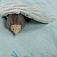 Moulin Roty ενεργό στρώμα γυμναστικής