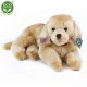 Λούτρινο ξαπλωμένο σκυλί Golden Retriever 32 εκ.