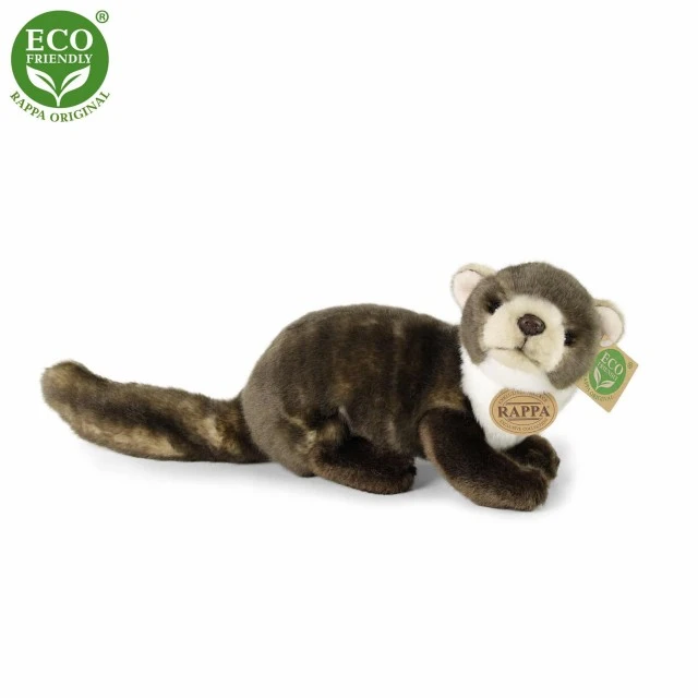 Λούτρινο Beech marten γένους Marten 24 cm.