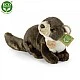 Λούτρινο Beech marten γένους Marten 24 cm.