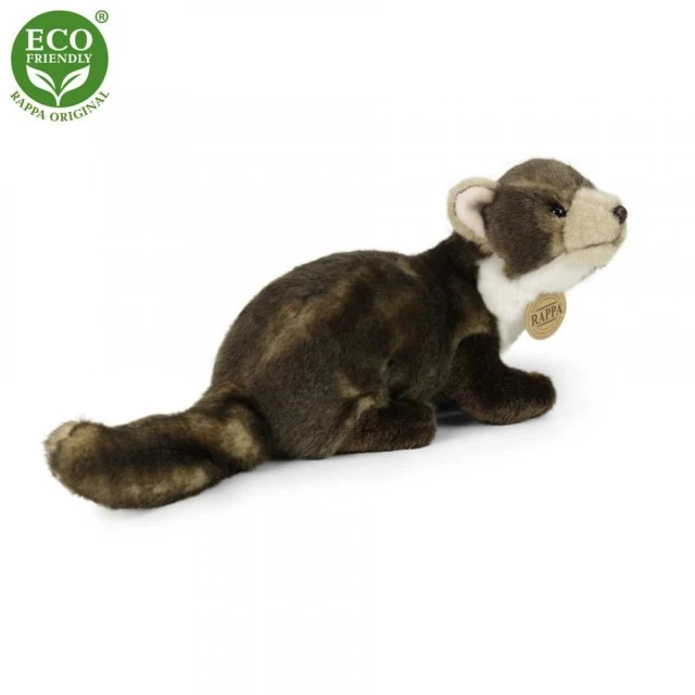 Λούτρινο Beech marten γένους Marten 24 cm.