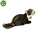 Λούτρινο Beech marten γένους Marten 24 cm.