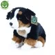 Βελούδινο κάθισμα Bernese Mountain Dog 25 cm.