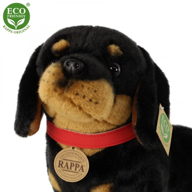 Λούτρινο Dachshund Dog 30 cm.