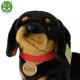 Λούτρινο Dachshund Dog 30 cm.