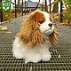 Λούτρινο Dog Kint Charles Spaniel κάθεται 25 cm.