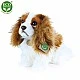 Λούτρινο Dog Kint Charles Spaniel κάθεται 25 cm.