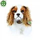 Λούτρινο Dog Kint Charles Spaniel κάθεται 25 cm.