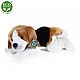 Λούτρινο σκυλί Beagle ξαπλωμένο 30 cm.