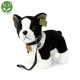 Λούτρινο σκυλί Boston terrier με λουρί όρθιο 23 cm.
