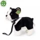 Λούτρινο σκυλί Boston terrier με λουρί όρθιο 23 cm.