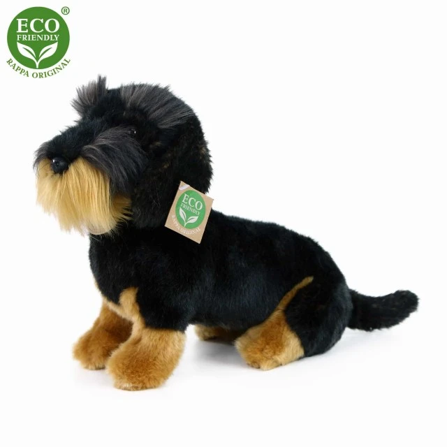 Λούτρινο Dog Dachshund κάθεται 30 cm.