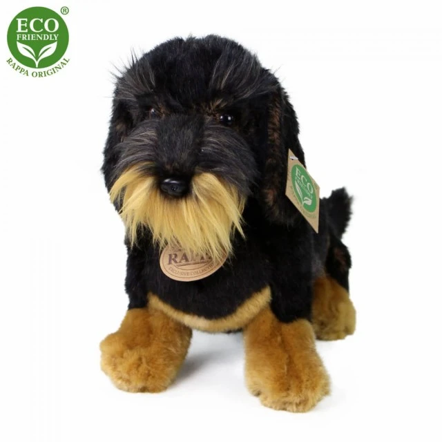 Λούτρινο Dog Dachshund κάθεται 30 cm.