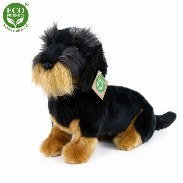 Λούτρινο Dog Dachshund κάθεται 30 cm.