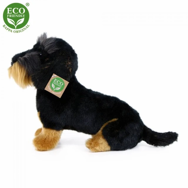 Λούτρινο Dog Dachshund κάθεται 30 cm.