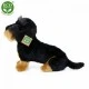 Λούτρινο Dog Dachshund κάθεται 30 cm.