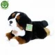 Λούτρινο σκυλί Bernese Mountain Dog ξαπλωμένος 30 cm.