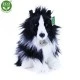 Λούτρινο Dog Border Collie κάθεται 30 cm.
