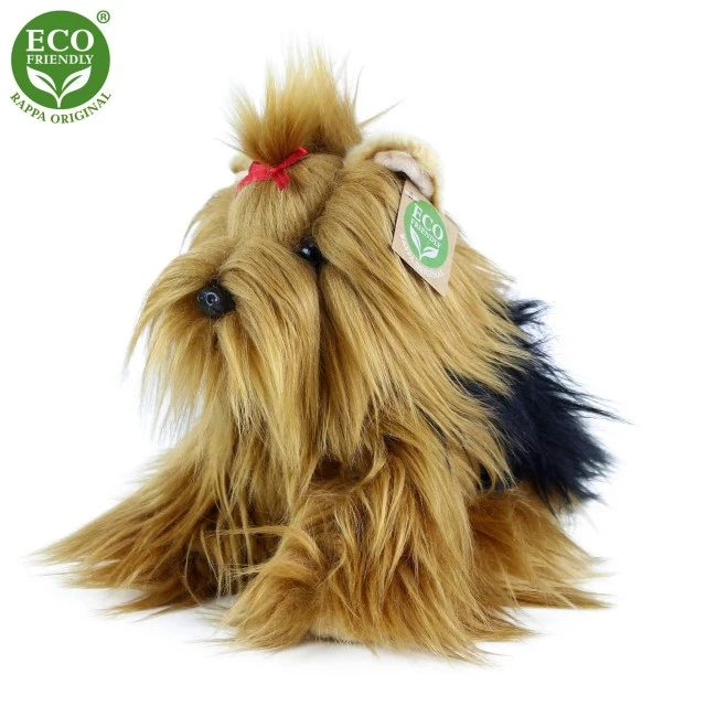 Λούτρινο σκυλί Yorkshire terrier κάθεται 23 cm.