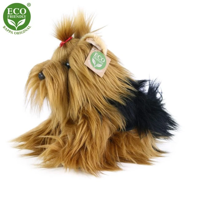 Λούτρινο σκυλί Yorkshire terrier κάθεται 23 cm.