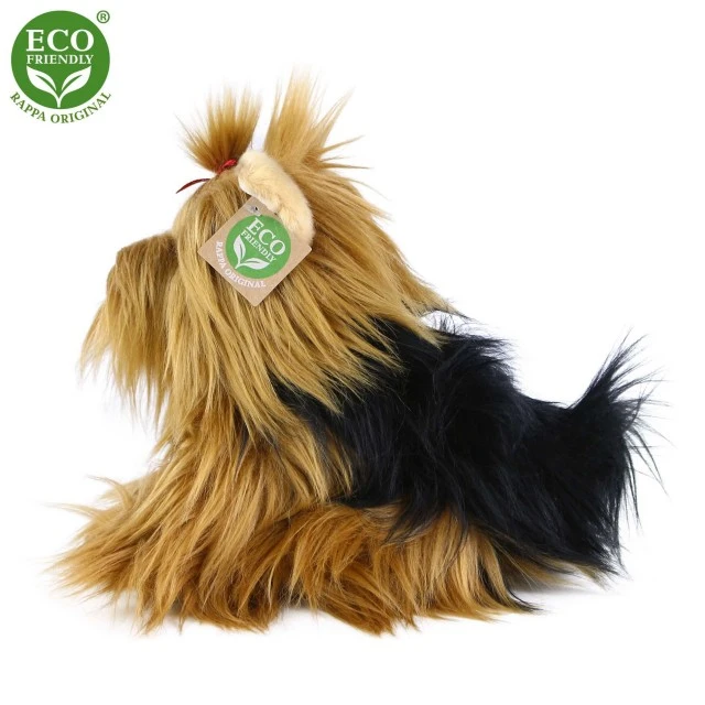 Λούτρινο σκυλί Yorkshire terrier κάθεται 23 cm.