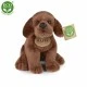 Λούτρινο Dog Brown Labrador κάθετο 20 cm.