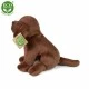 Λούτρινο Dog Brown Labrador κάθετο 20 cm.