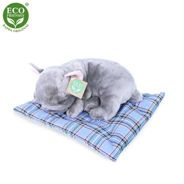 Λούτρινο Dog Grey French Bulldog που κοιμάται σε χαλί 23 cm.