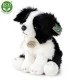 Λούτρινο Dog Border Collie κάθεται 30 cm.
