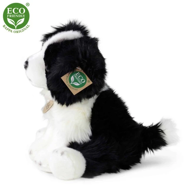 Λούτρινο Dog Border Collie κάθεται 30 cm.