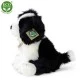 Λούτρινο Dog Border Collie κάθεται 30 cm.
