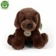 Λούτρινο Dog Brown Labrador κάθετο 26 cm.