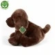 Λούτρινο Dog Brown Labrador κάθετο 26 cm.