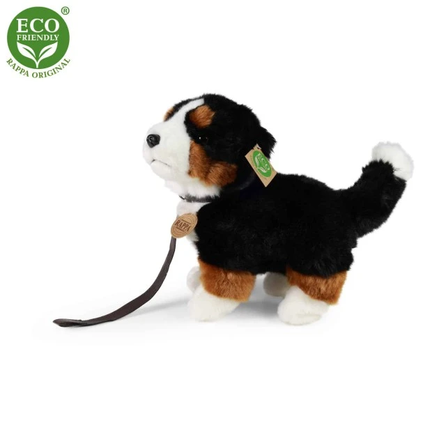 Βελούδινο σκυλάκι βουνού Bernese που στέκεται σε λουρί 23 cm.
