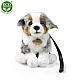 Λούτρινο Australian Shepherd με λουρί 27 cm.