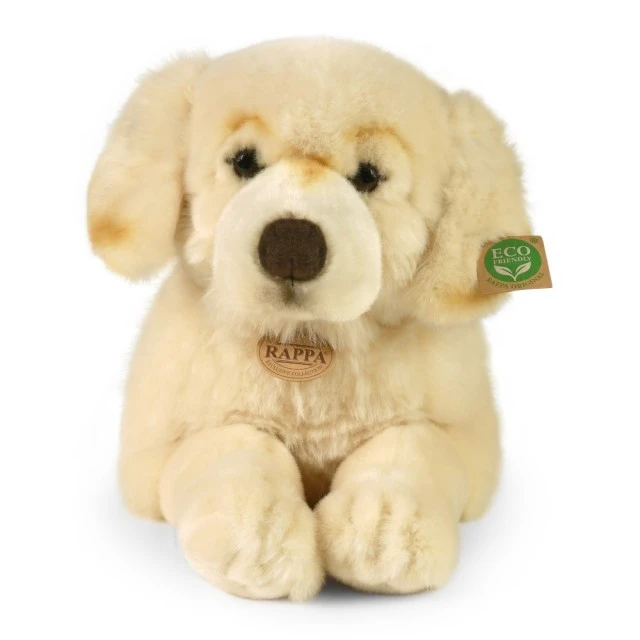 Μεγάλο βελούδινο Golden Retriever 60 cm. ξαπλομένος